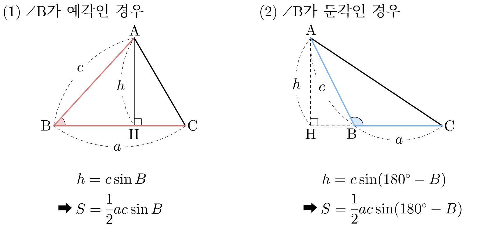 개념 1 (비율 X).png